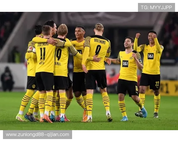 开云体育登陆：便捷快速的体育赛事在线登录平台介绍