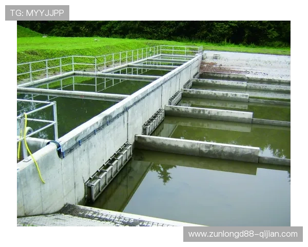 中国尊龙集团推动绿色可持续发展的企业责任与环保实践案例 中国尊龙集团推动绿色可持续发展的企业责任与环保实践案例