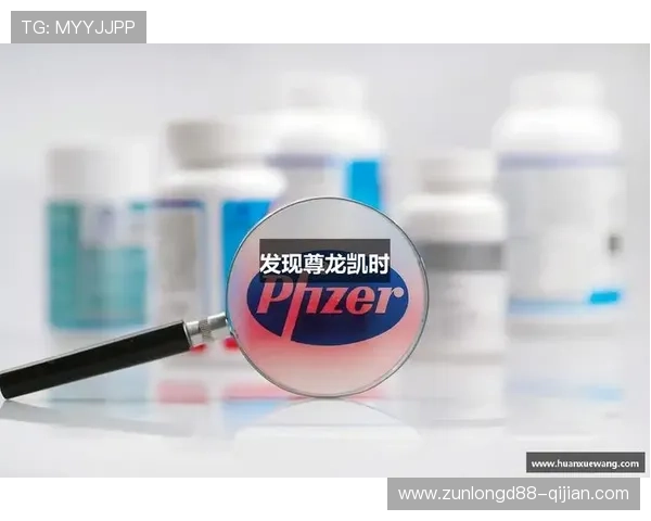 Z6尊龙真人国际:新手入门必看攻略,轻松掌握游戏技巧与玩法 Z6尊龙真人国际:新手入门必看攻略,轻松掌握游戏技巧与玩法