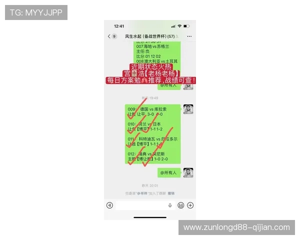 世界杯比利时对阵埃及比赛中射门次数变化趋势及战术调整分析